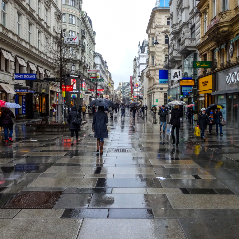 Viena