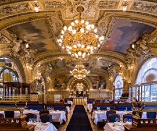 11923596_1084945408184372_8157634282592256299_n