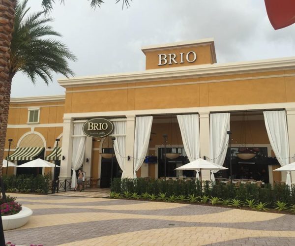 brio2