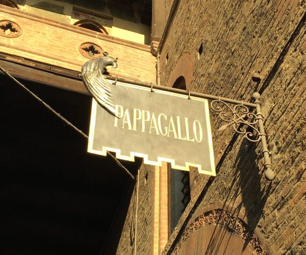pappagallo